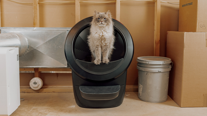 Litter Robot