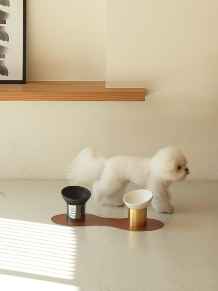 OGONIA 반려동물 식기세트