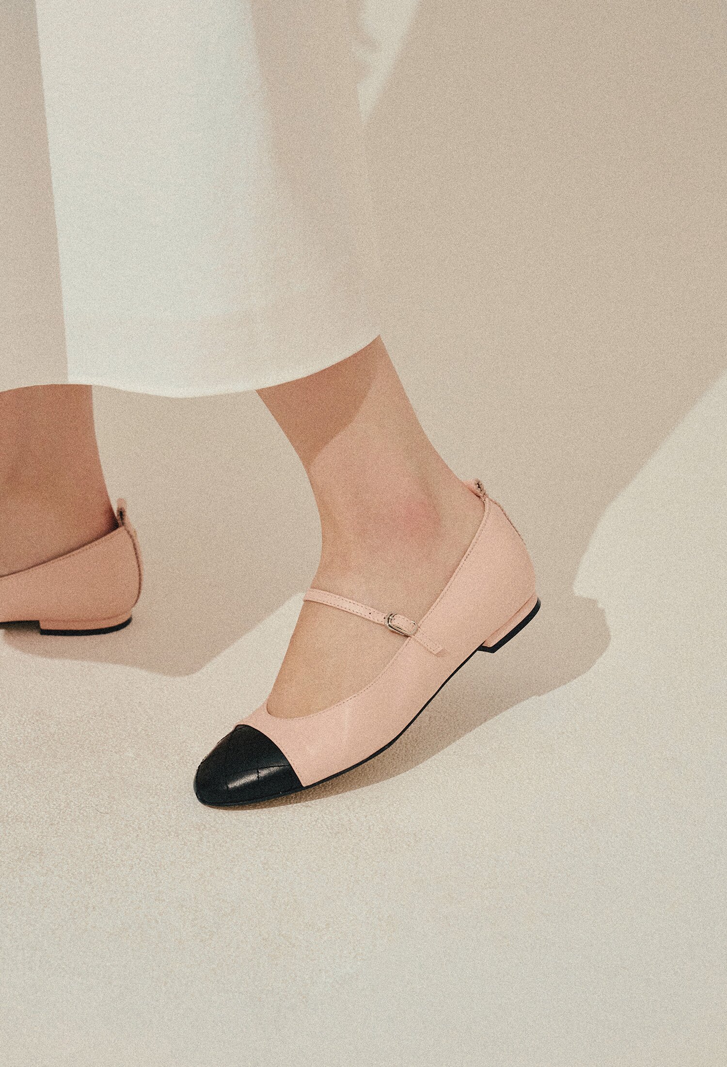 Flat_D047PK Meronii