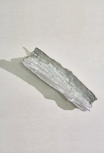 나무껍질 주석 다하