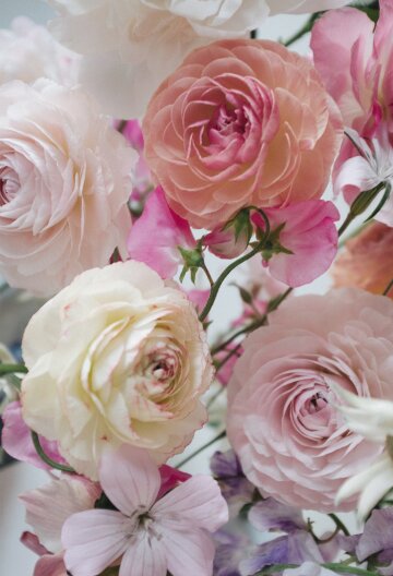 Flowers Well-Tempered #71