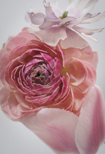 Flowers Well-Tempered #101