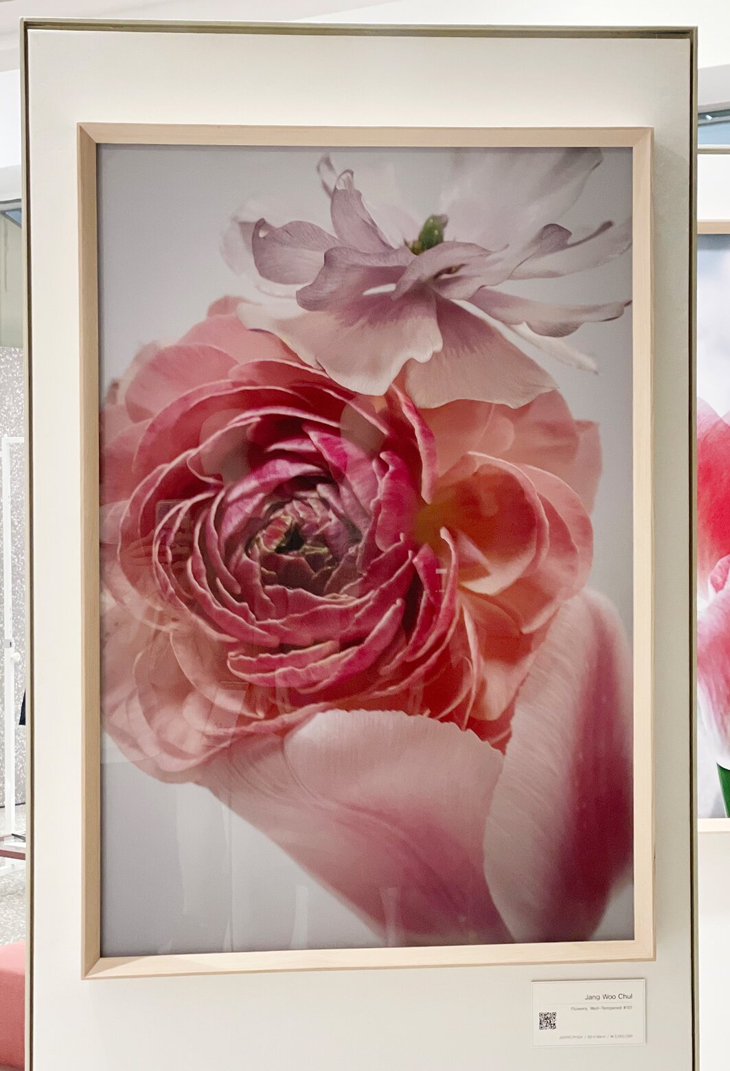 Flowers Well-Tempered #101