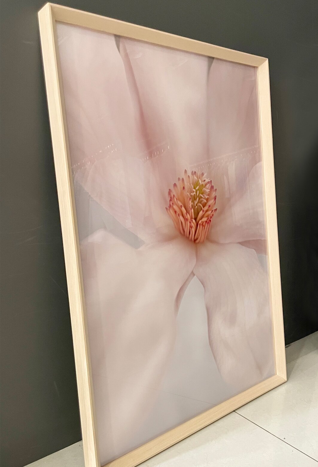 Untitled Magnolia #01