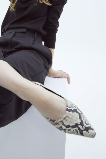 Anshu flat_Python skin