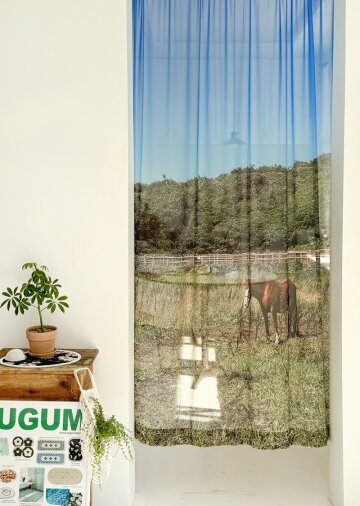 제주포레스트 쉬폰 커튼