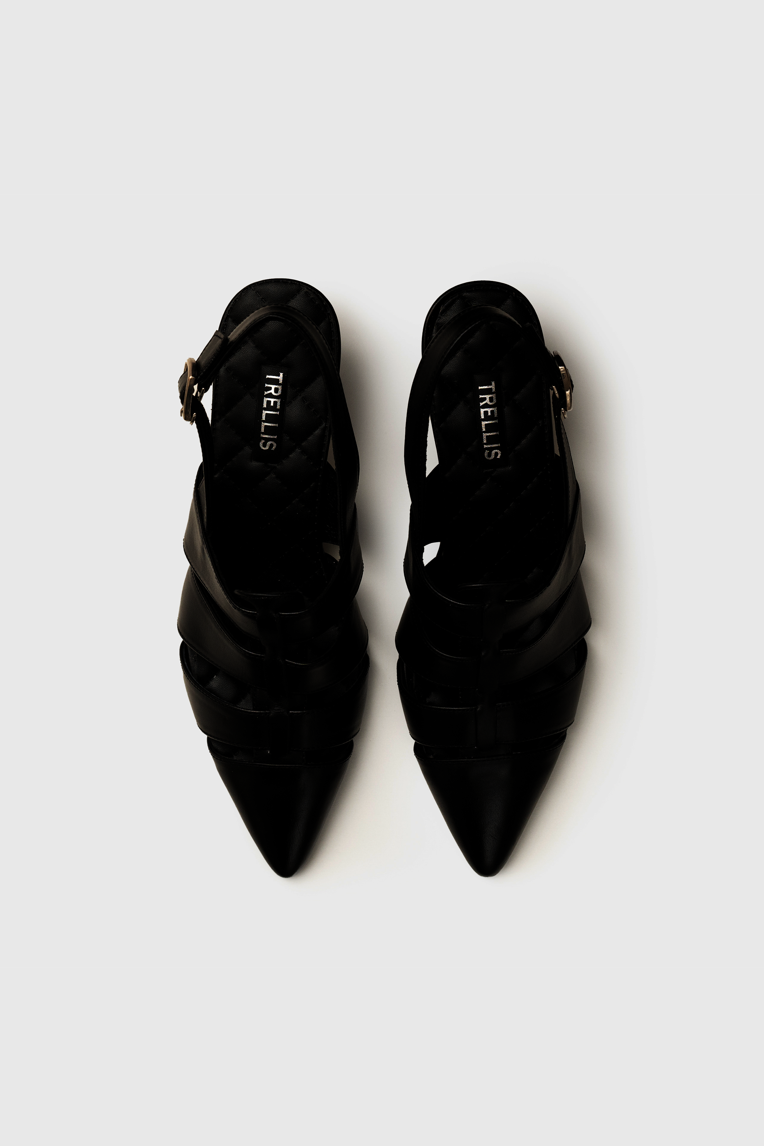 HEDERA 473 BLACK