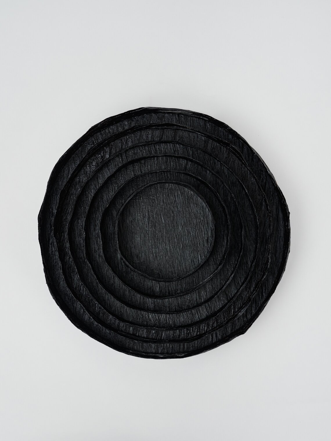 닥줄기 트레이 S