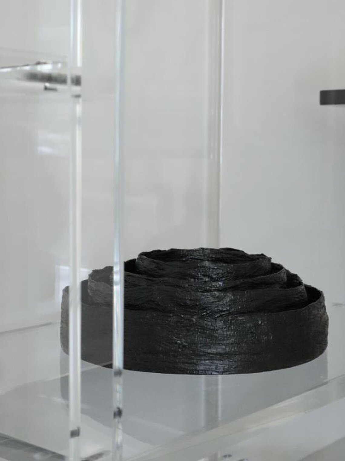 닥줄기 트레이 M