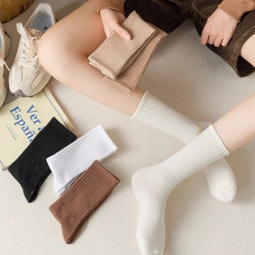 여성용 모던 컬러 밴딩 장목 양말 6켤레