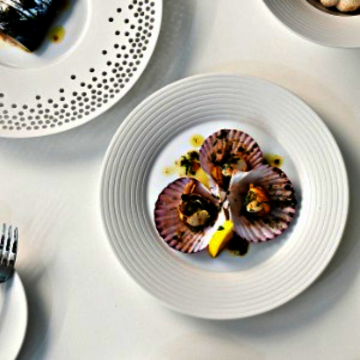 [헤링 베를린] 펄스 플레이트 24cm