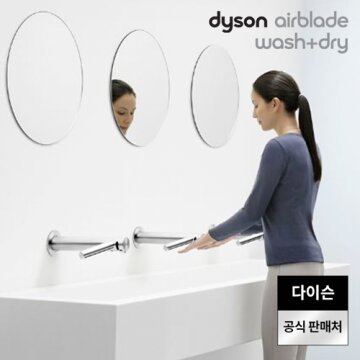다이슨 에어블레이드 워시앤드라이 WD-06