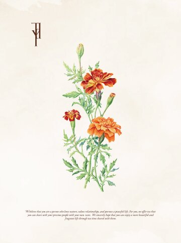 Organic Marigold 메리골드