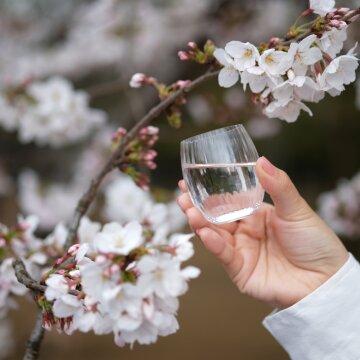 [기모토글래스도쿄] 마이 7 스몰 사케잔 유리잔