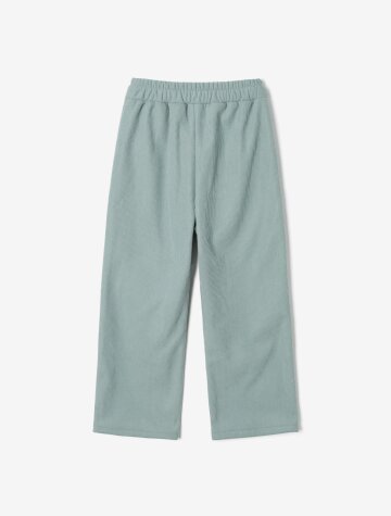 여성 골지 코듀로이 와이드 팬츠 (MINT) (HBBLPA3)