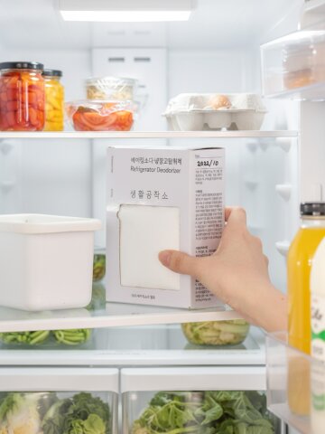 2+2 생활공작소 100% 베이킹소다 냉장고 탈취제 500g