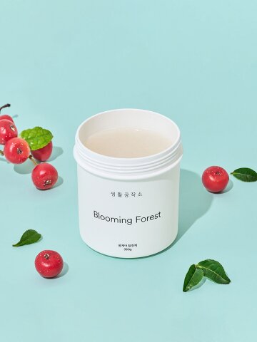 생활공작소 초강력 룸케어 고체 탈취제 380g 블루밍포레스트향