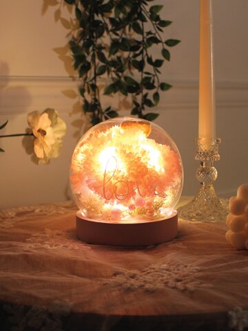 그레이스 핑크 카네이션 유리돔 LED 무드등