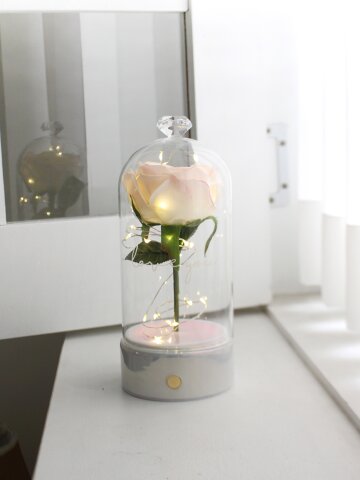 로즈 블랑 유리돔 무선 장미 LED 무드등