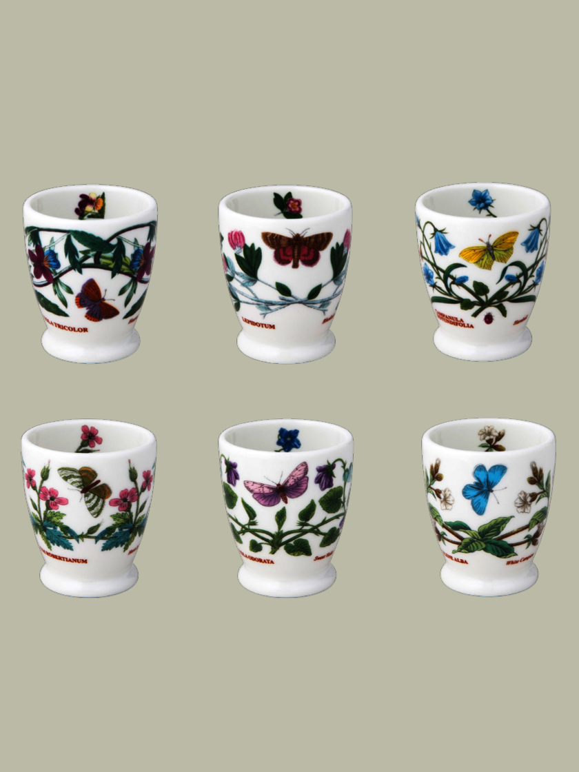 [포트메리온] 보타닉 가든 샷 글라스 (NON FOOTED) 70ML 6P (A,B)