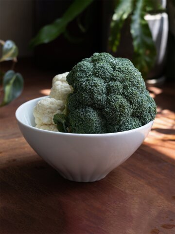 [세라미꼬] 화형면기 대접 라면그릇  17cm (2 colors)