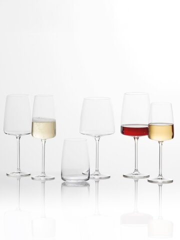 쇼트즈위젤 센사 레드 와인잔 버건디 샴페인 화이트와인 잔 1p