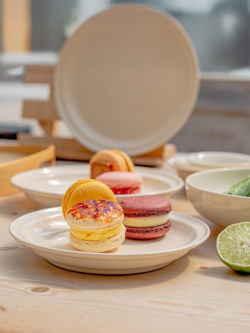 검트리 시드니 원형접시 8color