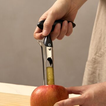 바겐슈타이거 스텐 이지 애플코어러 사과 씨 제거기