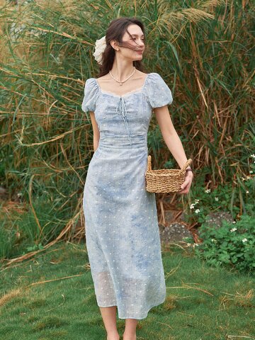 SR_Waltz french blended dress