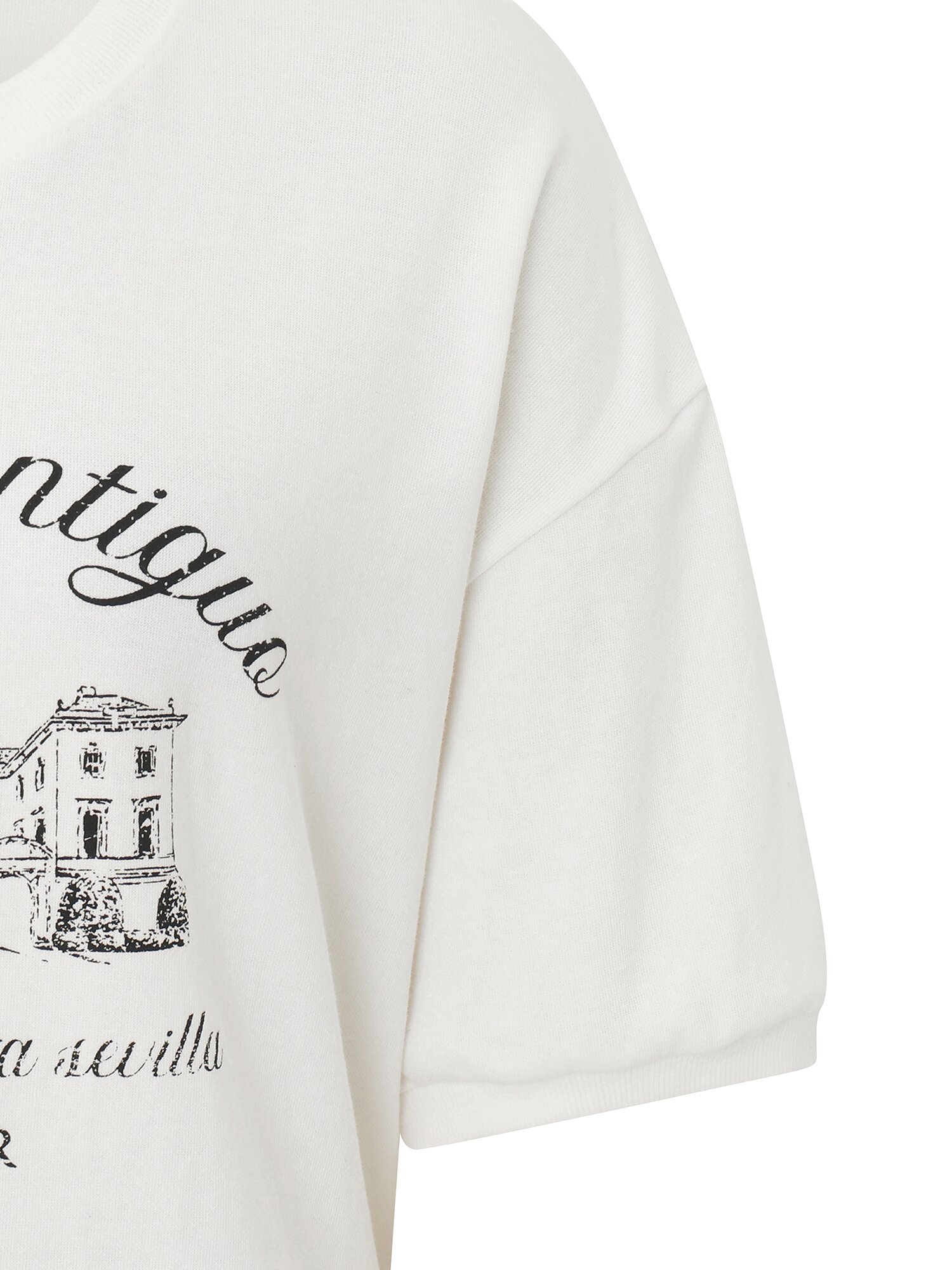 프린팅 밴딩 슬리브 티셔츠 (WHITE)