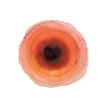 포드바쉐 테이블 메트_Red