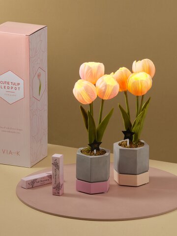 큐티 튤립 팟 LED 무드등