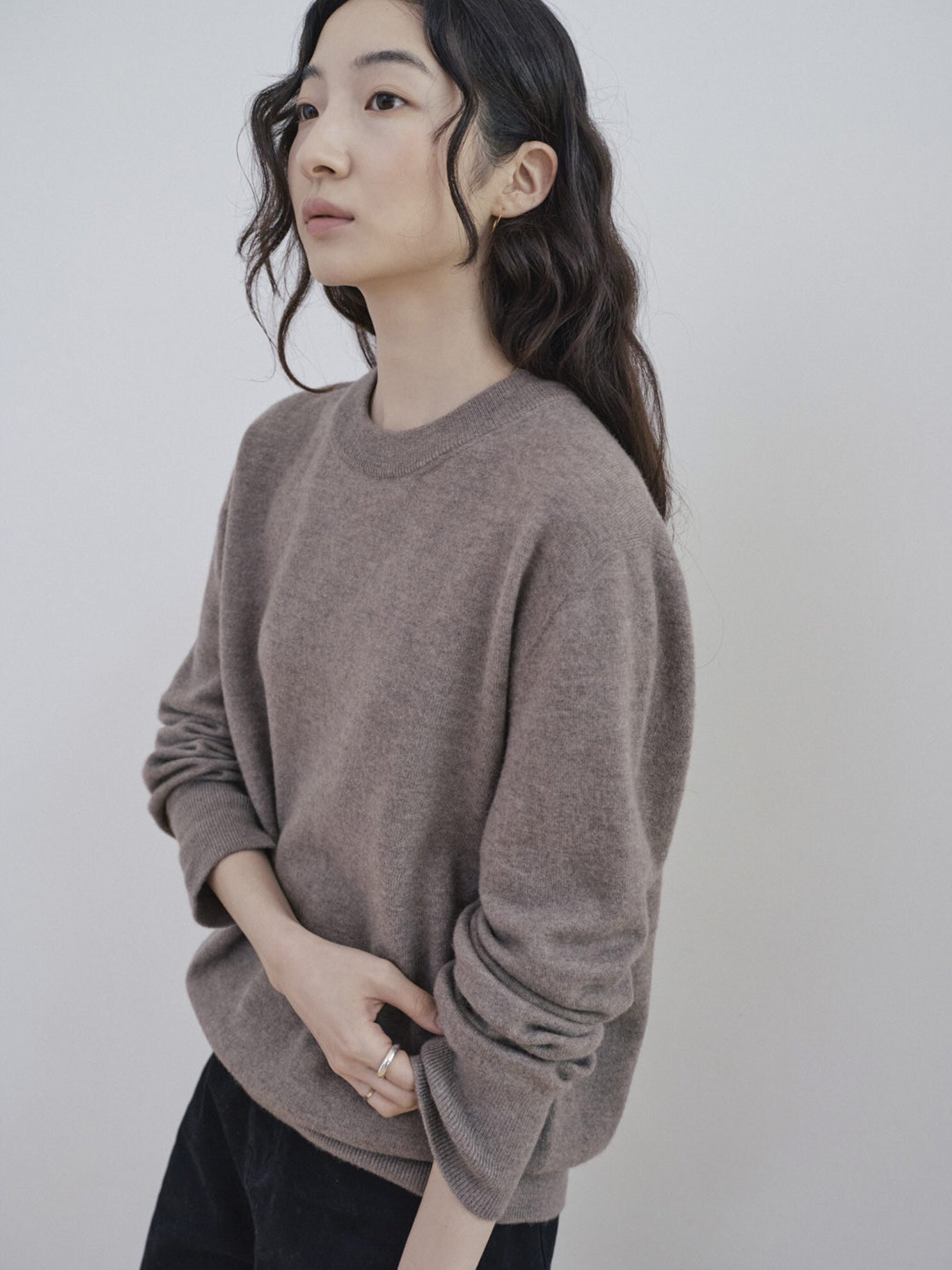 Superfine Merino Wholegarment Crewneck Knit_MOCHA MOUSSE