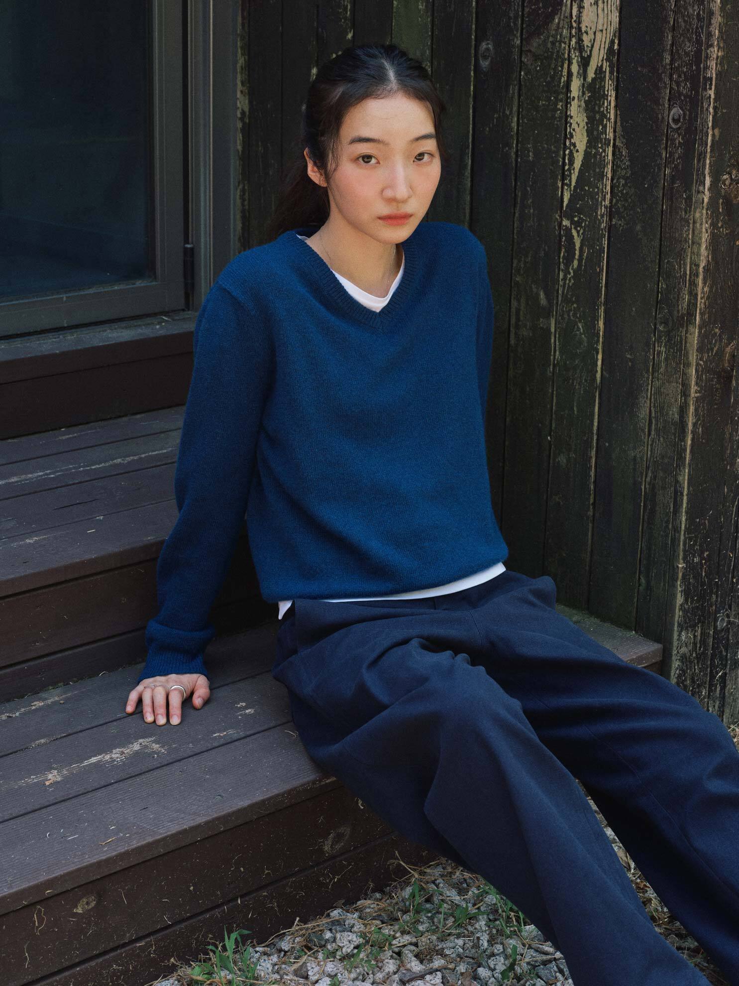 Cashmere Superfine Wool V-Neck Knit_BLUE 